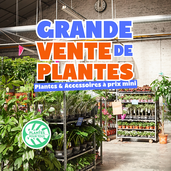 Grande vente de plantes 1