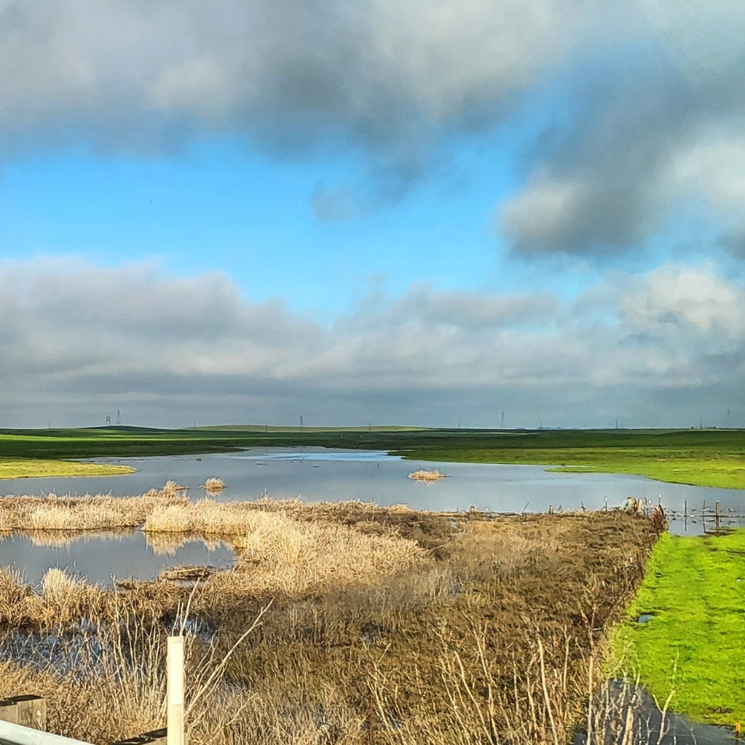 Suisun City 3
