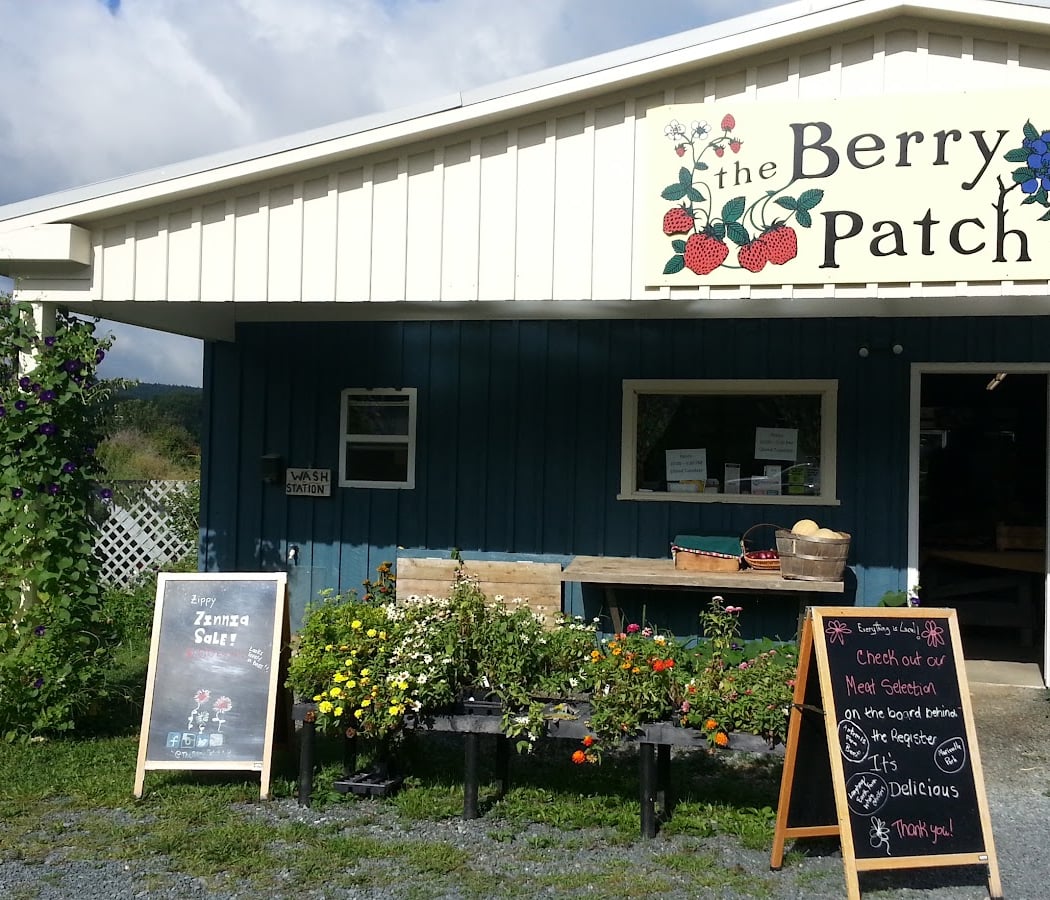 Berry Patch 3