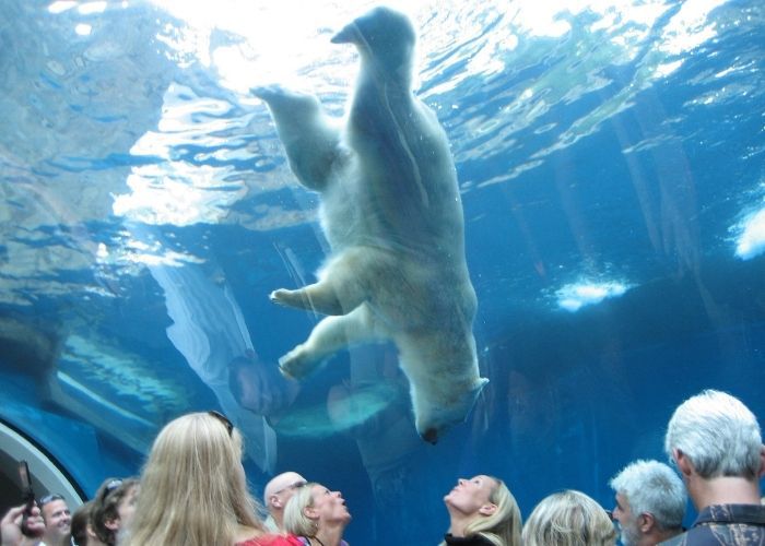 Pittsburgh Zoo & Aquarium 1
