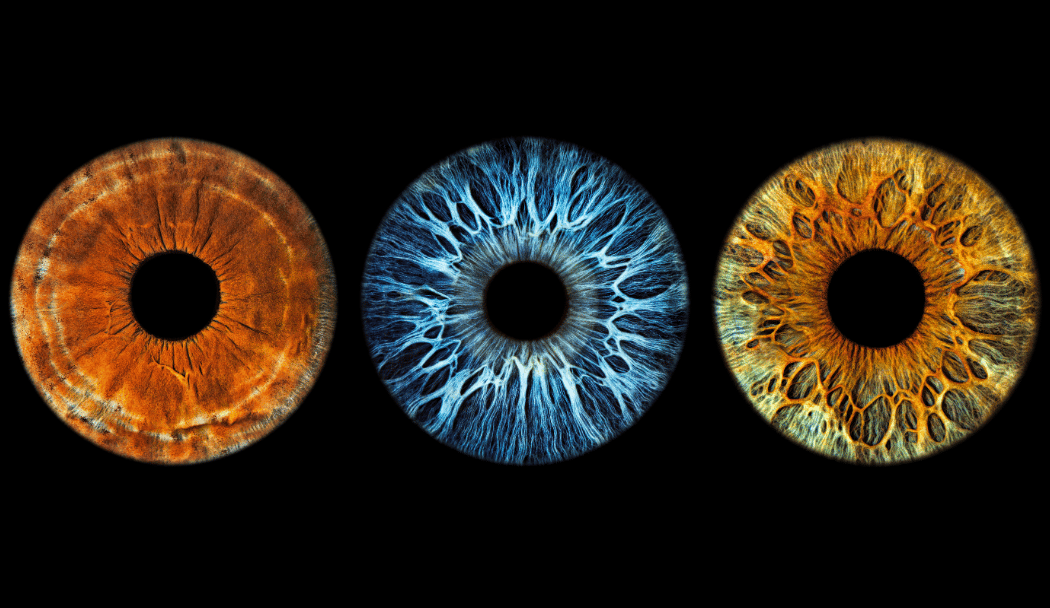 Eyemazy 1