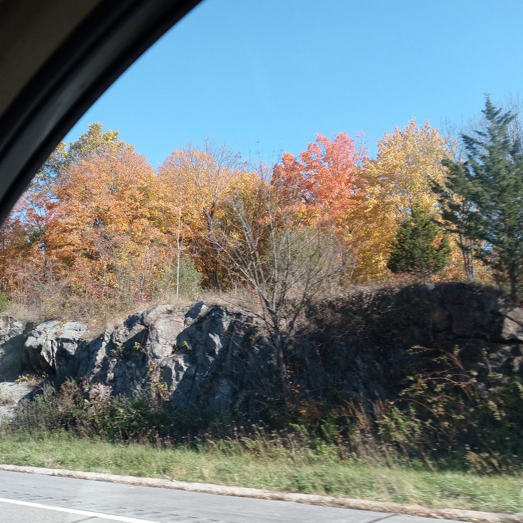 Taconic State Pkwy 2