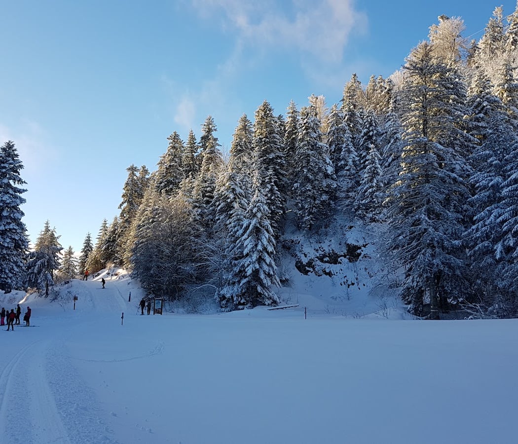 The Site Of Praille 1