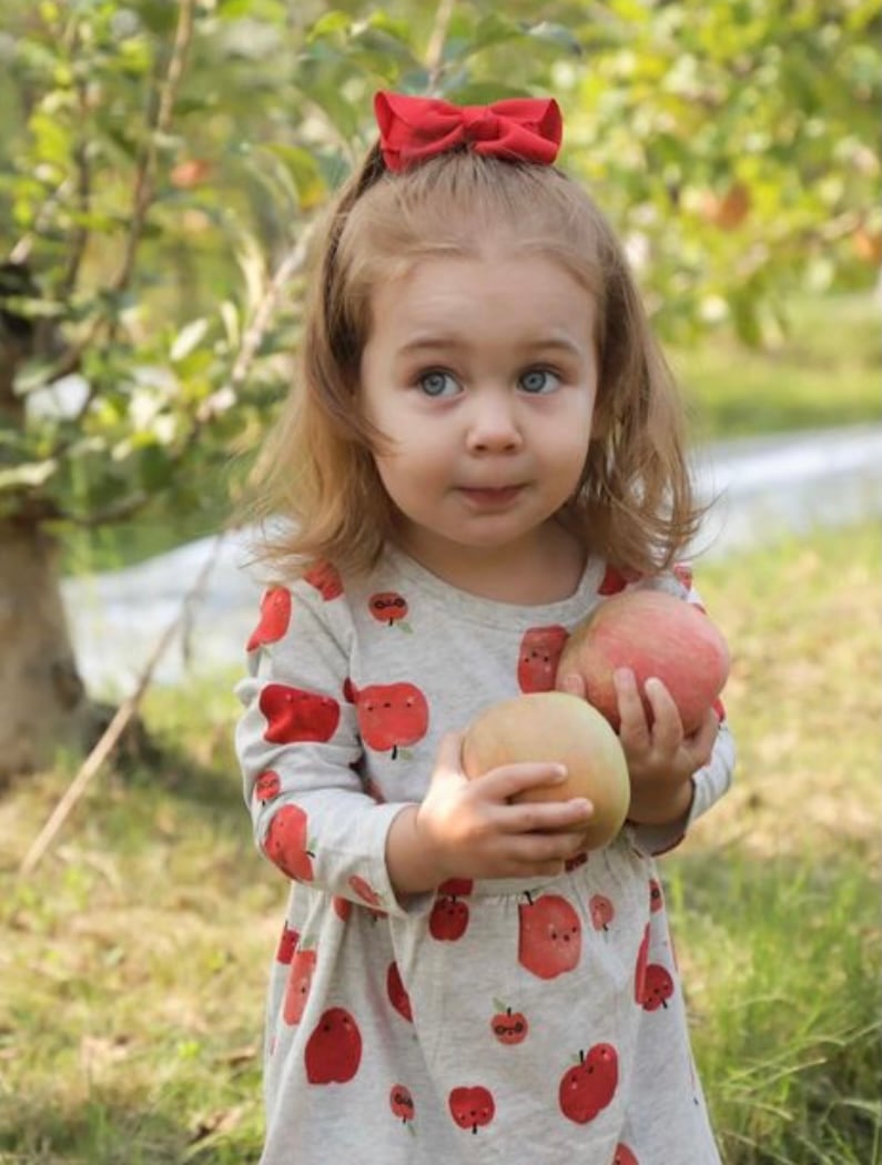 Lucky You Orchards - Ripon 2