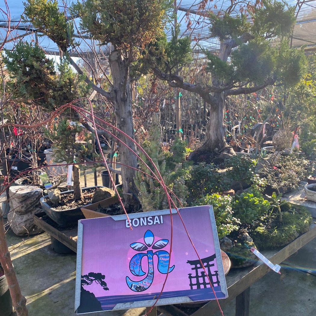 Annual Citrus-Tasting Event 4