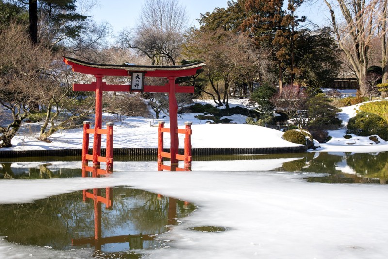 Brooklyn Botanic Garden 2