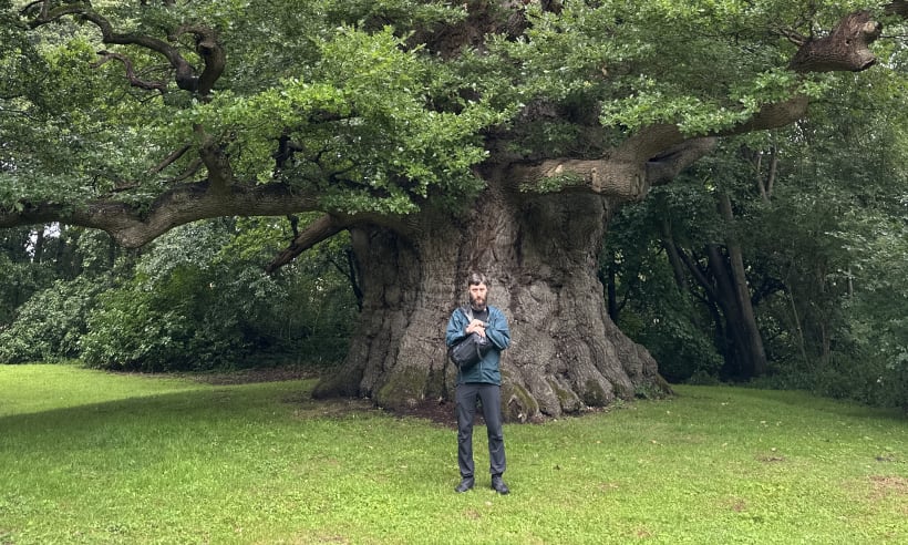 TREES