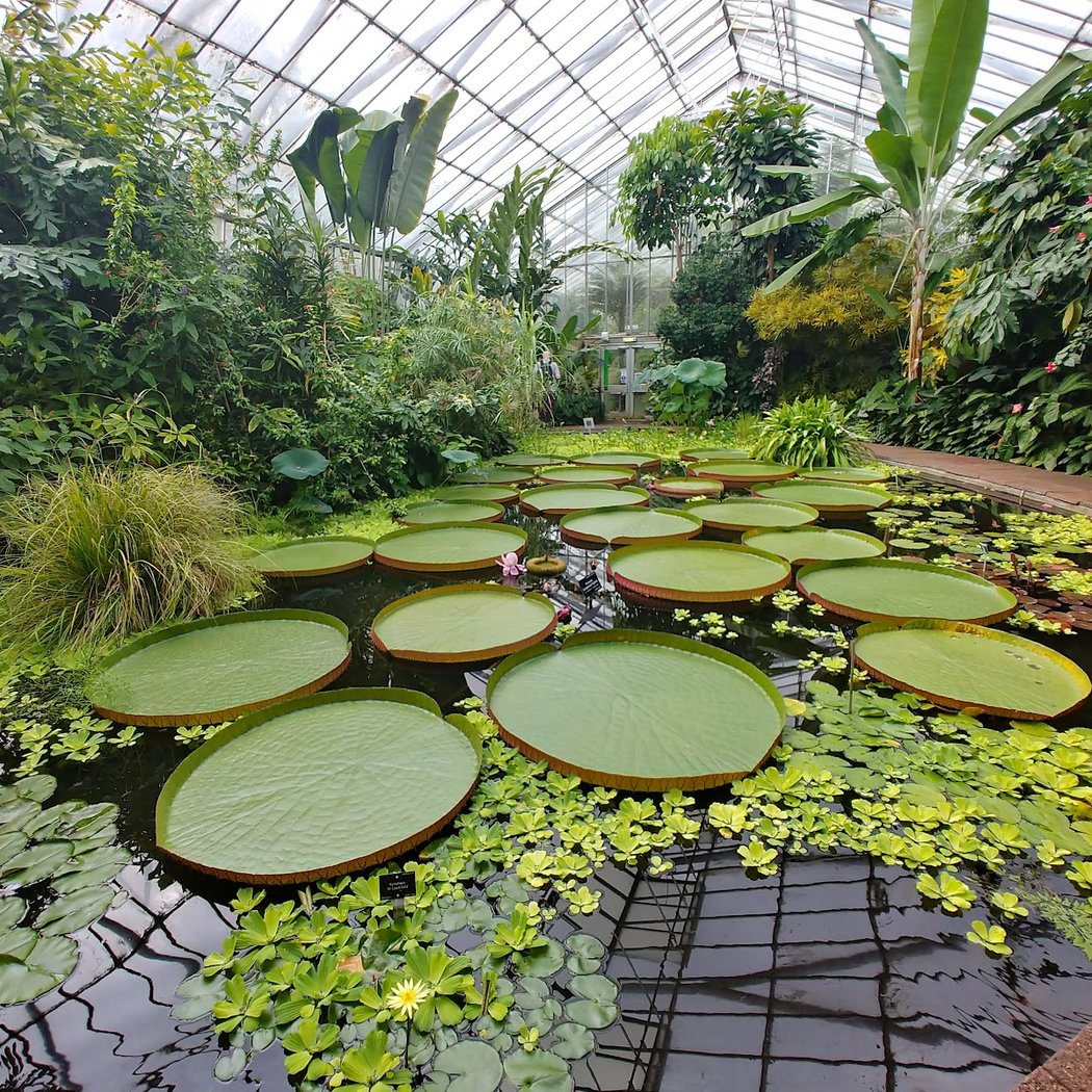 Royal Botanic Garden Edinburgh 3