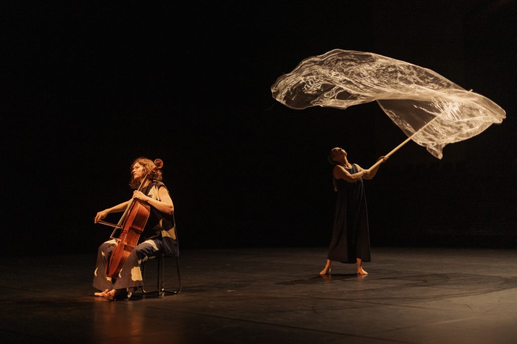 Bach Cello Dance