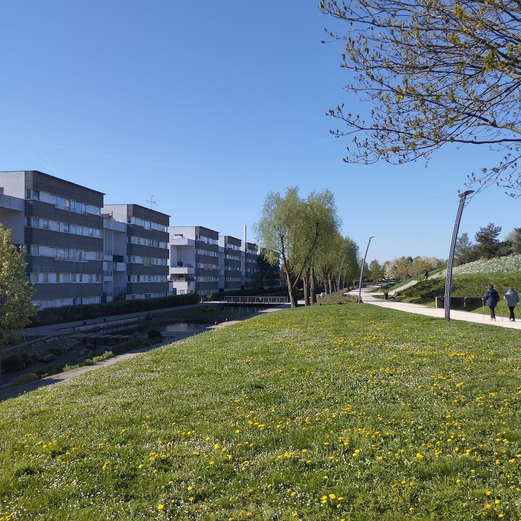Corrida de Villejuif 2