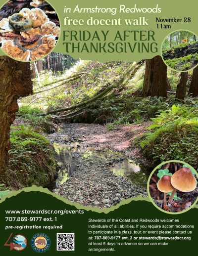 Friday after Thanksgiving docent-led walk 1