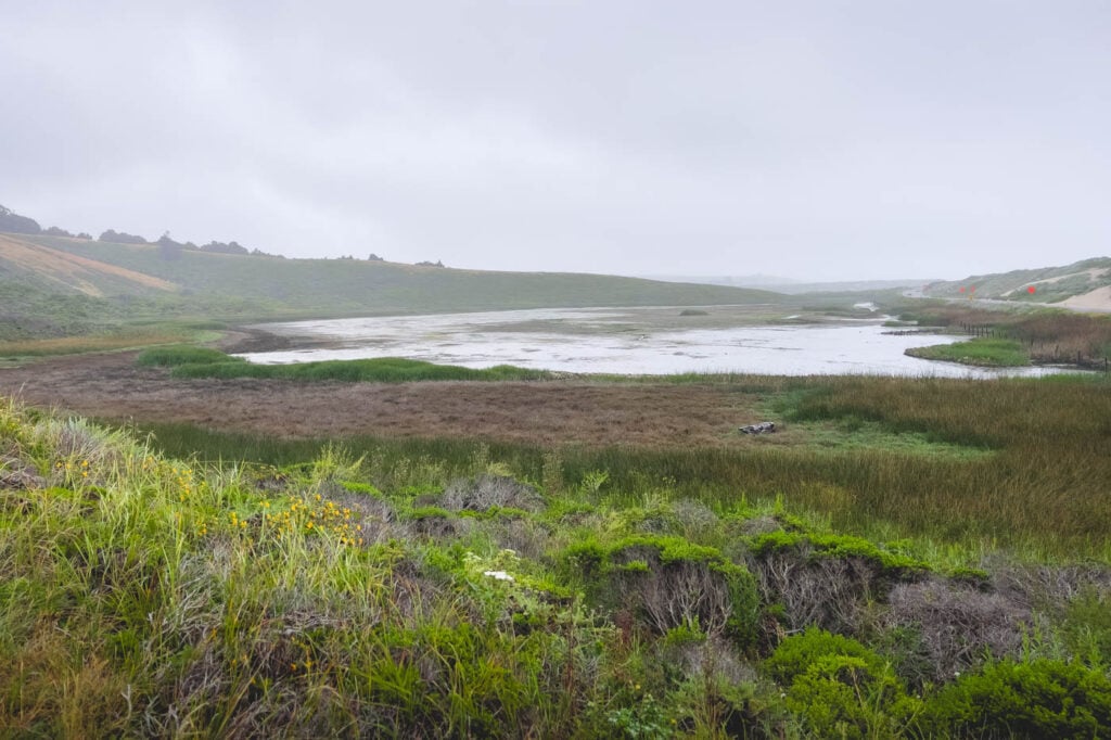 Pescadero Marsh Trail 2