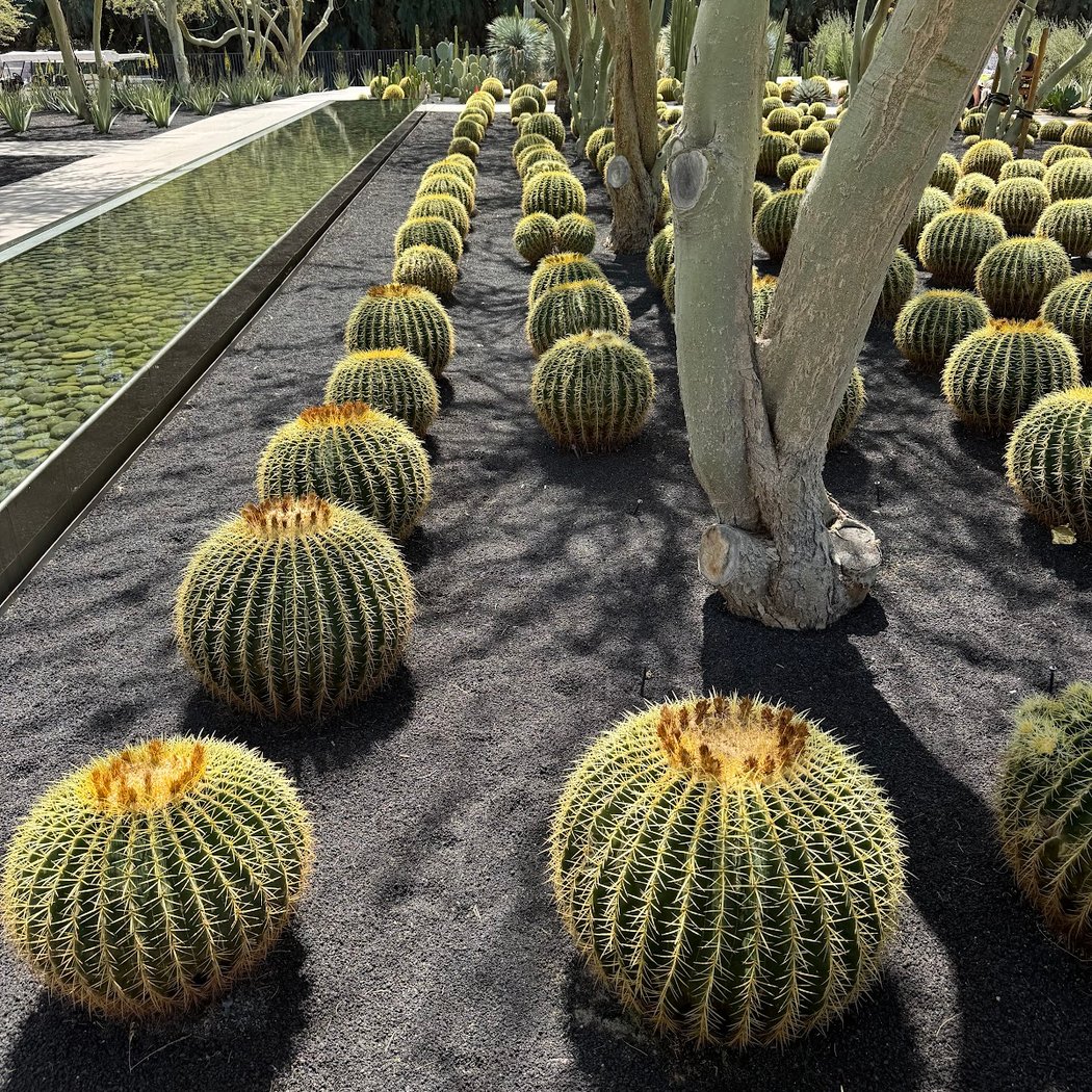 Sunnylands Center & Gardens 2