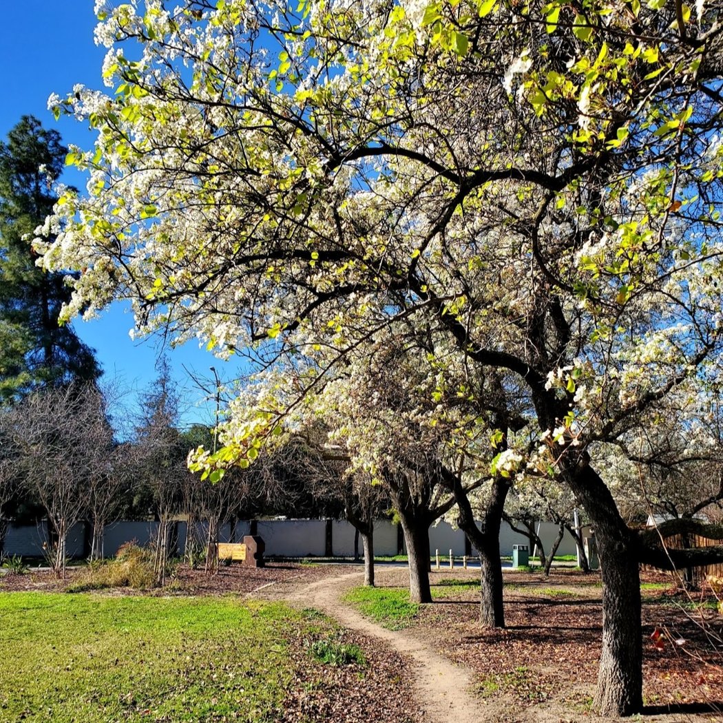 Saratoga Creek Park 1
