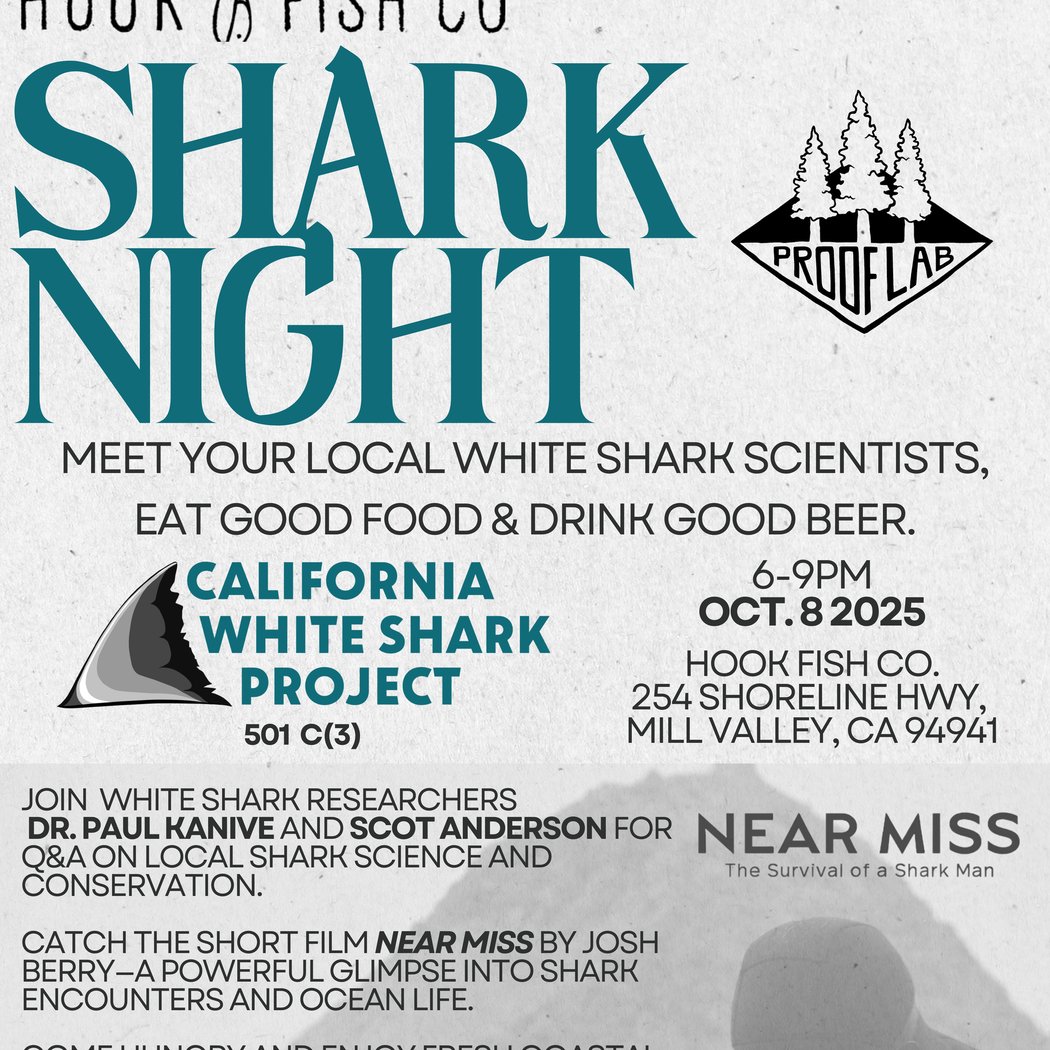 Shark Night 1