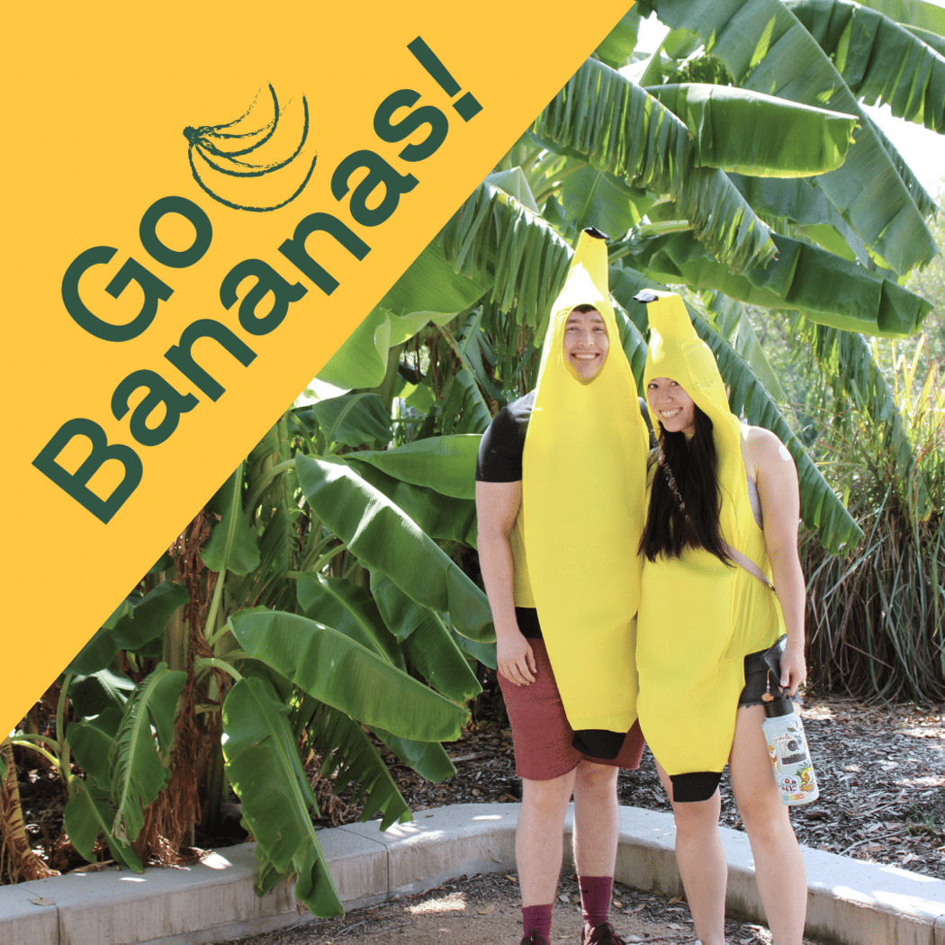 Go Bananas!