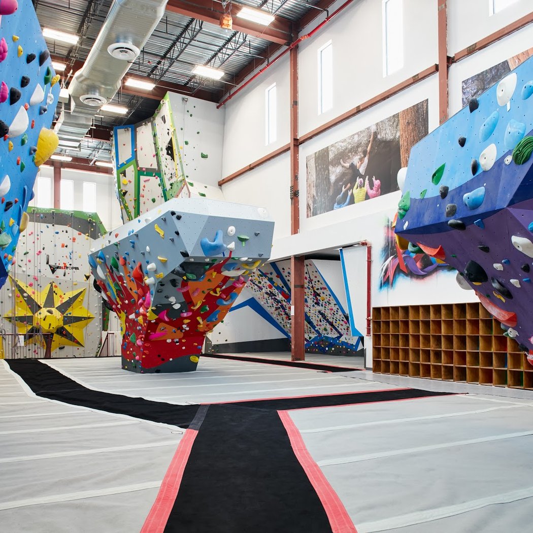 La Sportiva Demo 1