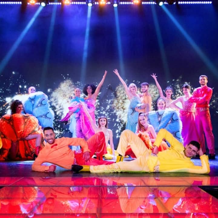 L'Oiseau Paradis 3