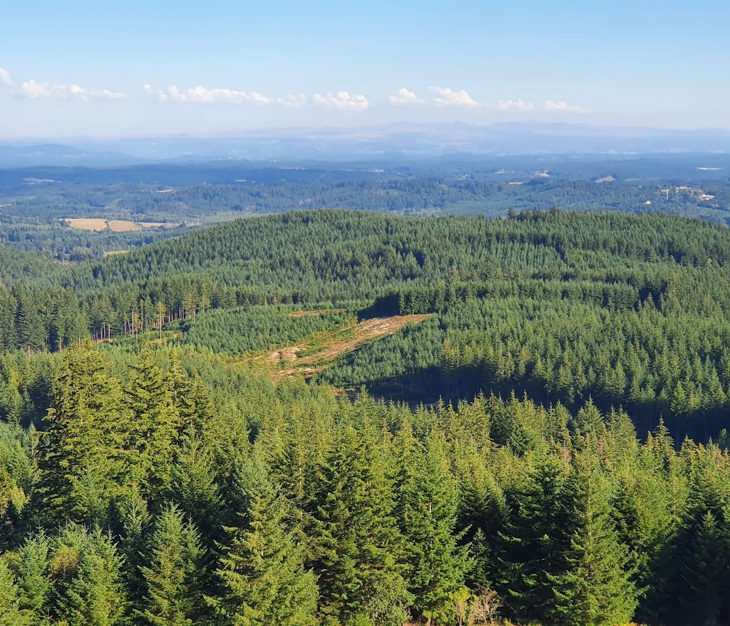 Mont Bessou 2