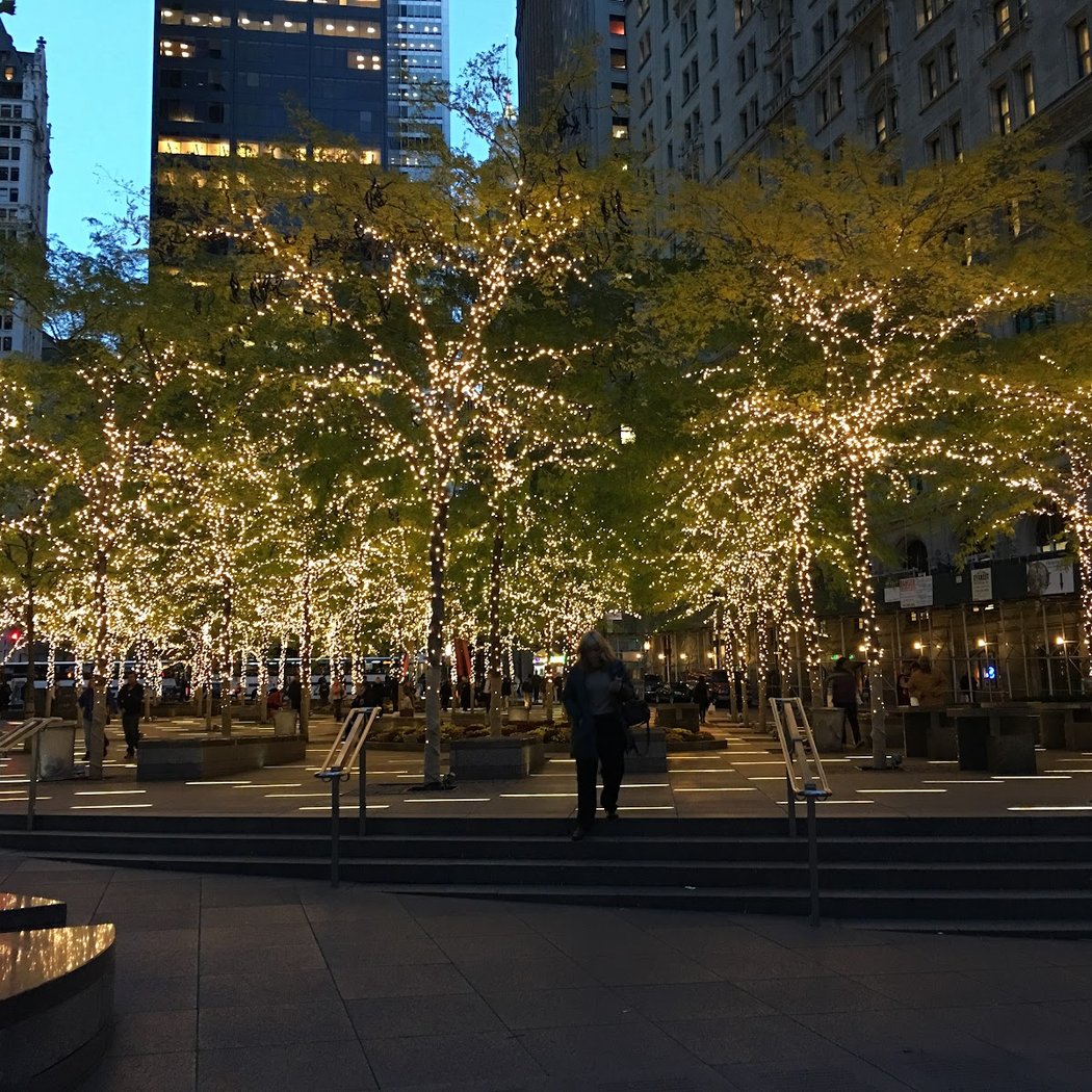 Zuccotti Park 4