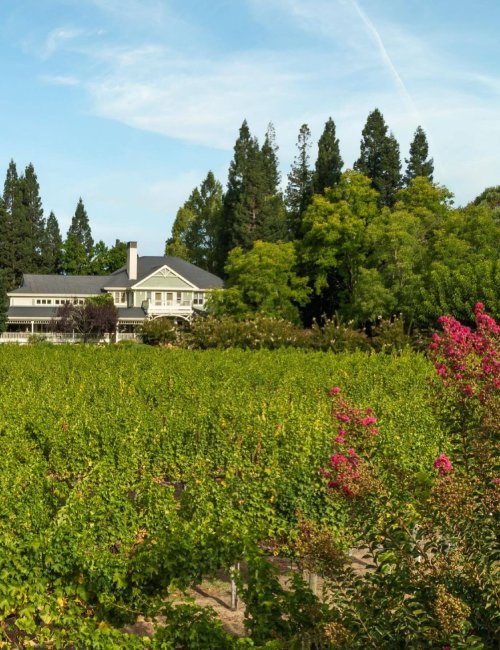 Duckhorn Vineyards 2