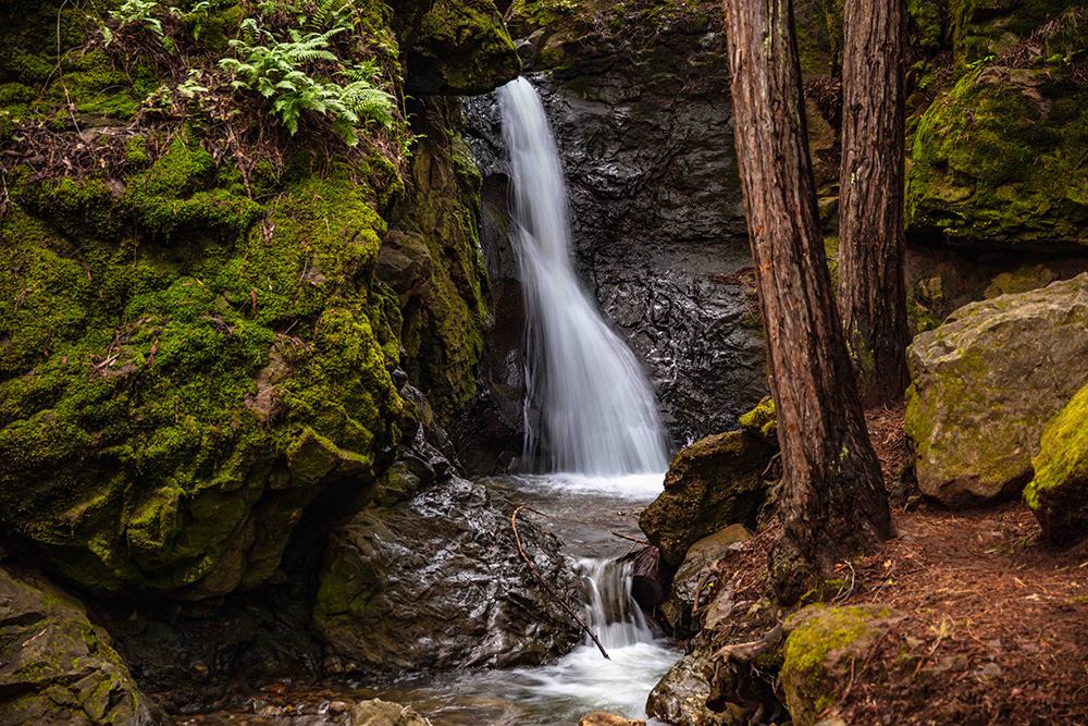 Enchanted Waterfall Sanctuary 1