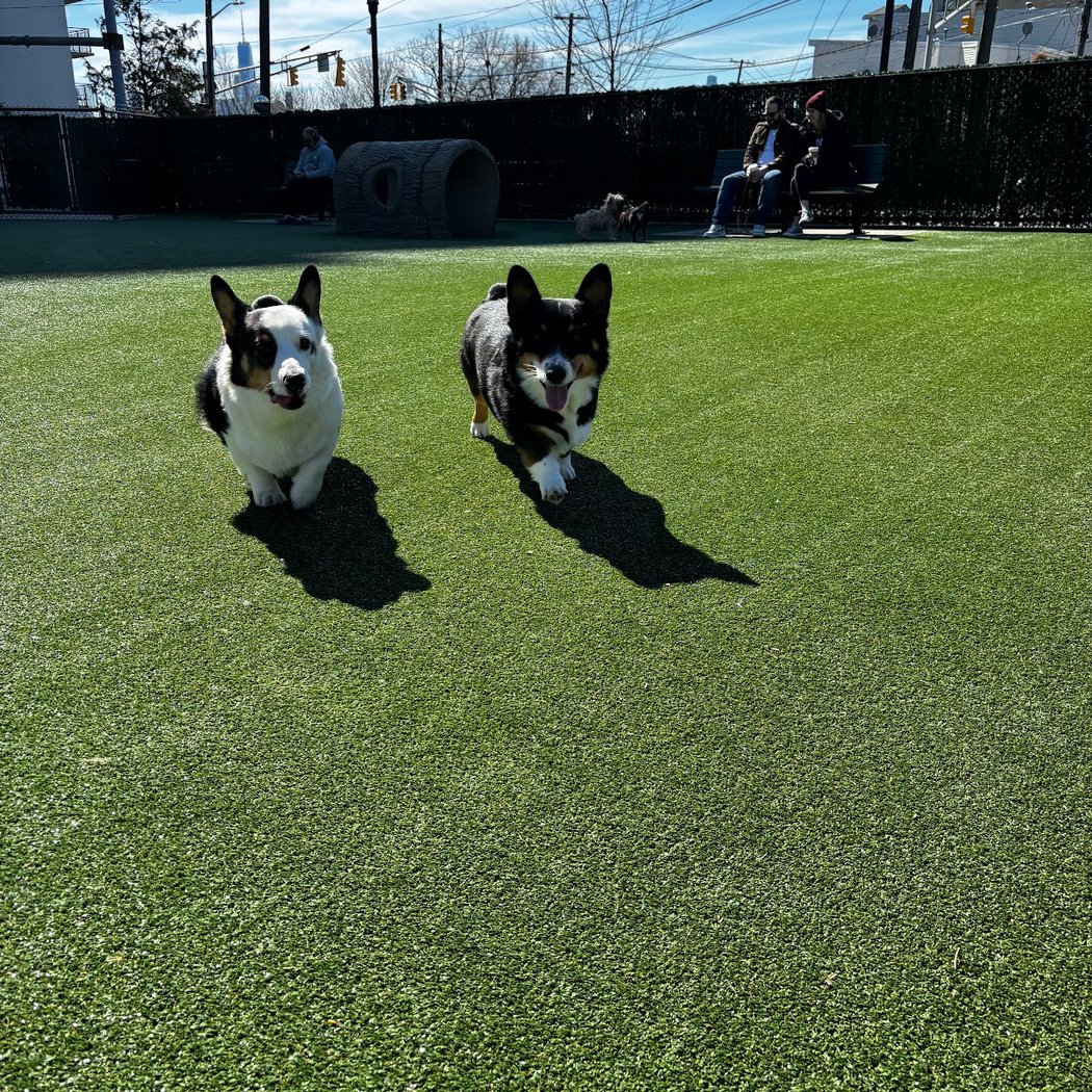 Washington Park Dog Run 1