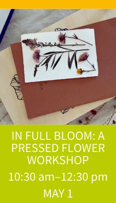 IN FULL BLOOM: A PRESSED FLOWER WORKSHOP 1