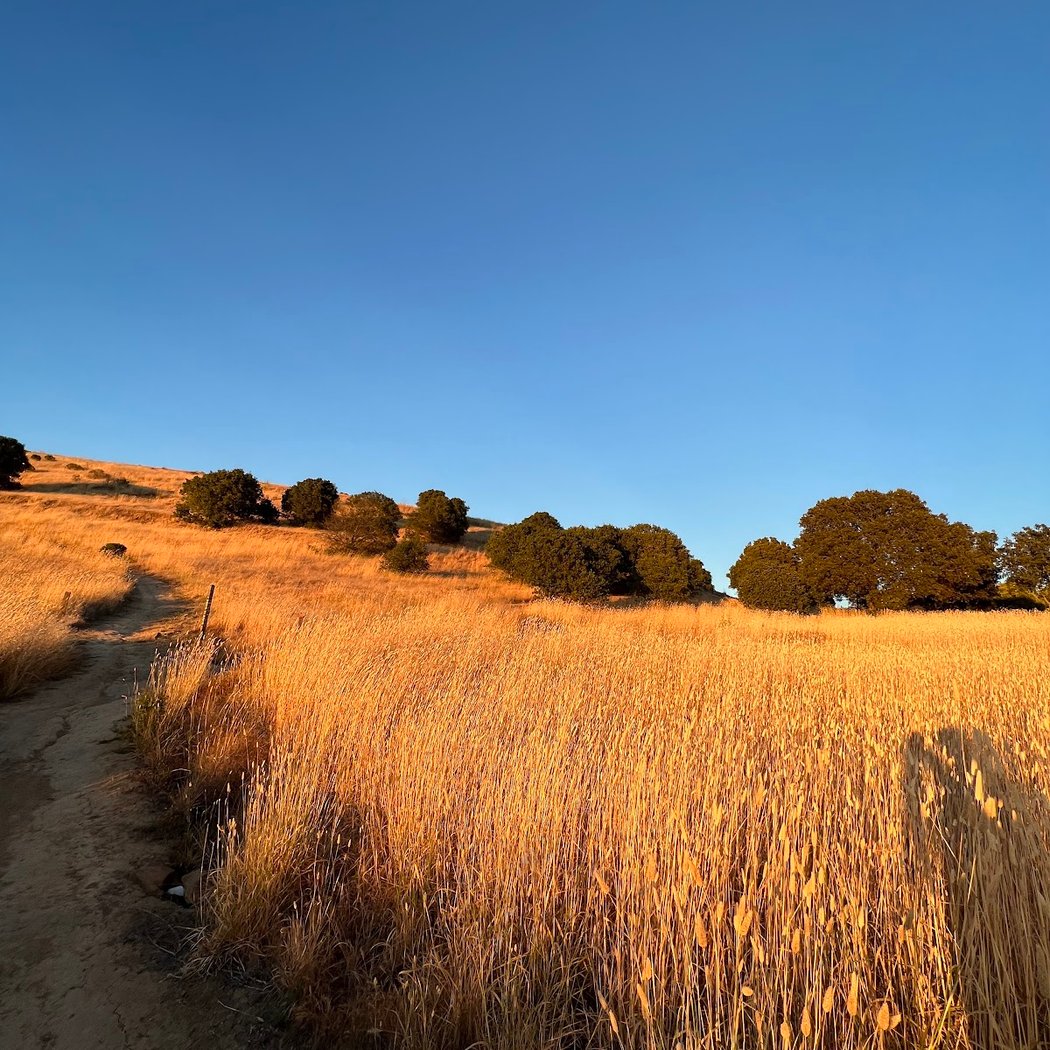 Bay Area Ridge Trail 3