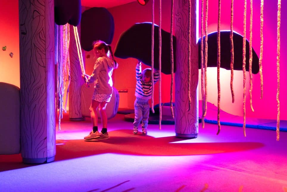 Grand parc de loisirs 100% pour les jeunes 1