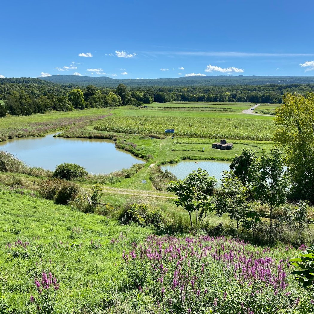 Day trips and getaways in and around New York 3