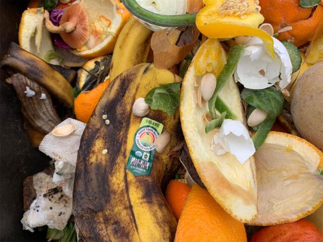 Public Events & Community Recycling 1