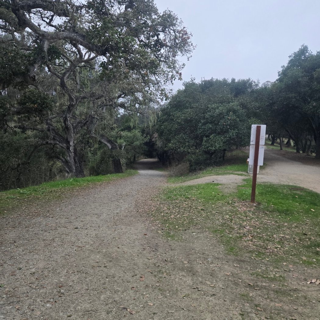 Pinto Lake County Park 3
