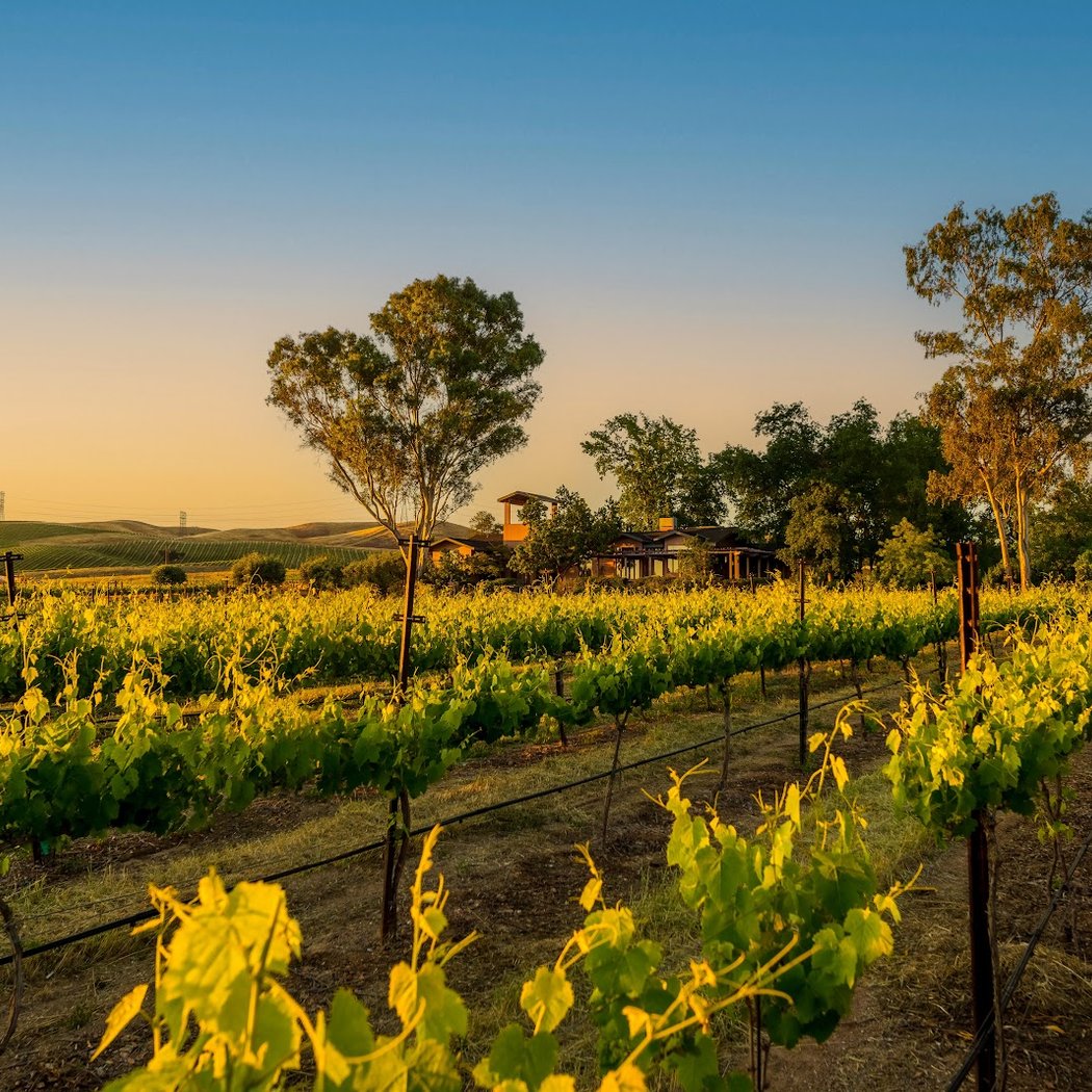 Meet the Winemaker and taste Cellar 13 Winery's award winning wines 3