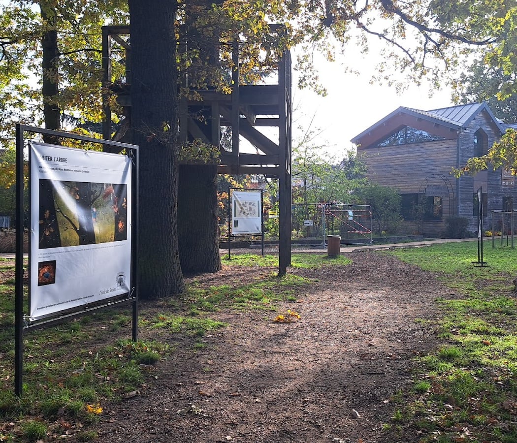 Environment House 2
