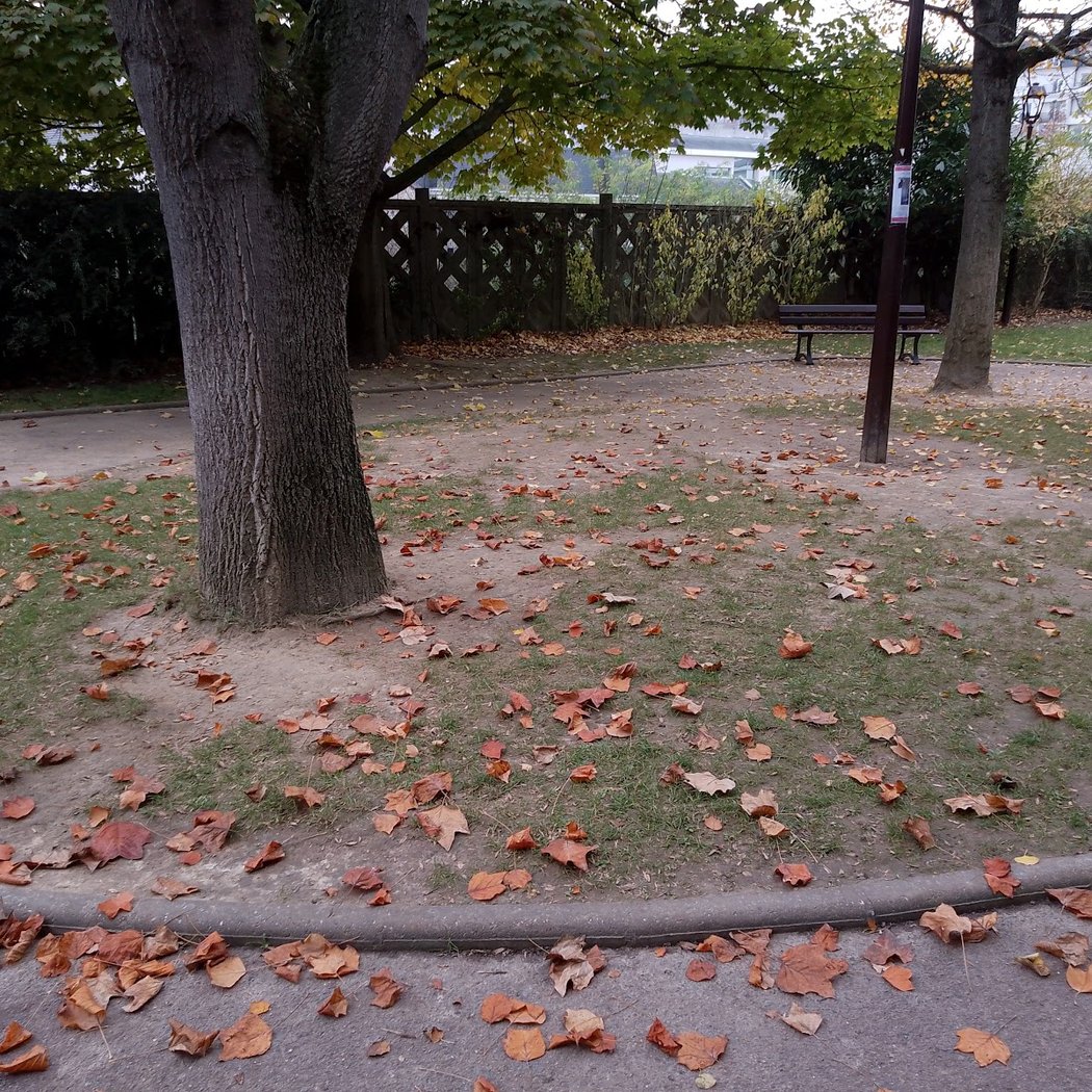 Square de Conflans 3