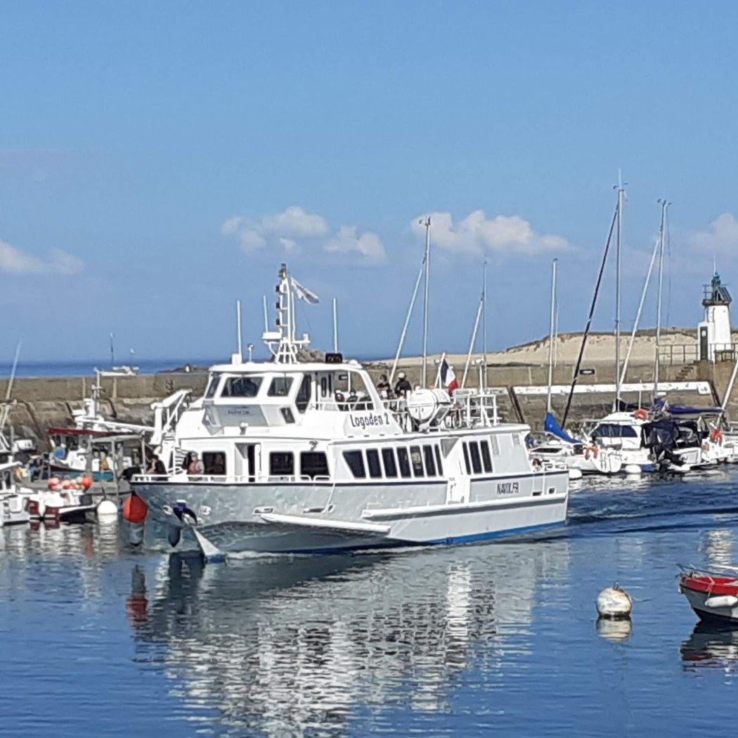 Chasse aux œufs sur un bateau 1
