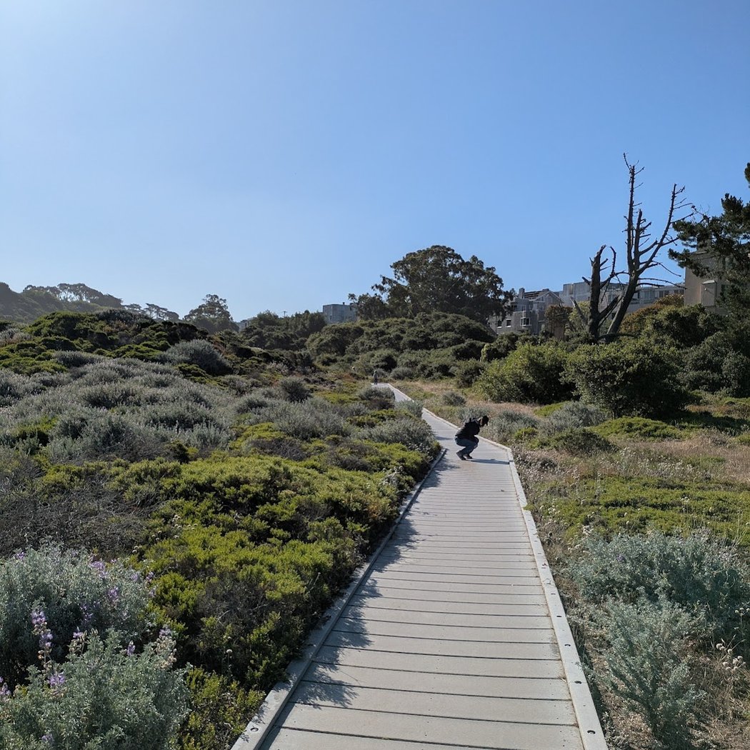 Lobos Creek Valley Trail 3