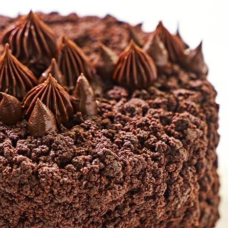 Cake Baking 4: Chocolate in Cakes 1