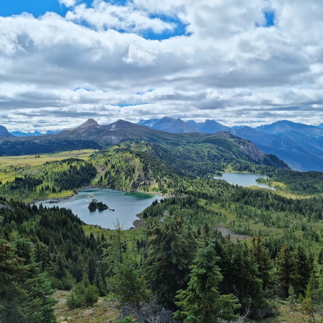 Sunshine Meadows Viewing Deck 2