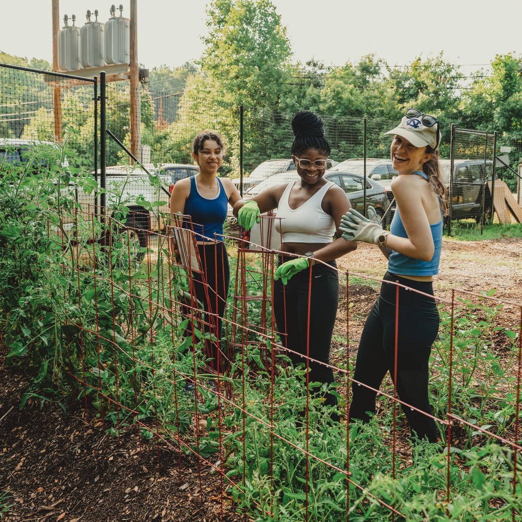 2nd Saturday Work Day at Samuels Garden 2