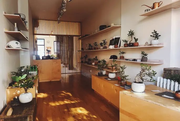 Bonsai Shop by Dandy Farmer 2
