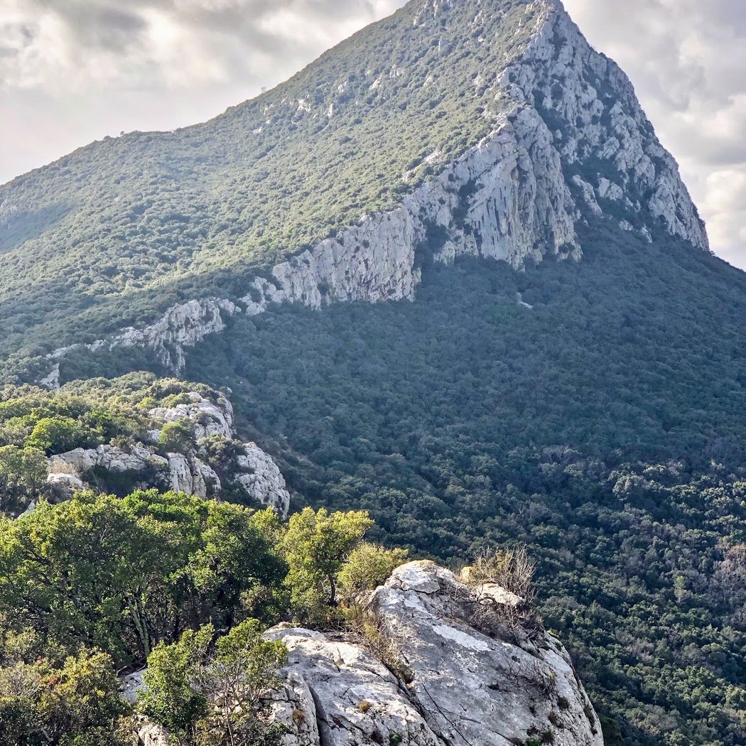 Pic Saint-Loup 3