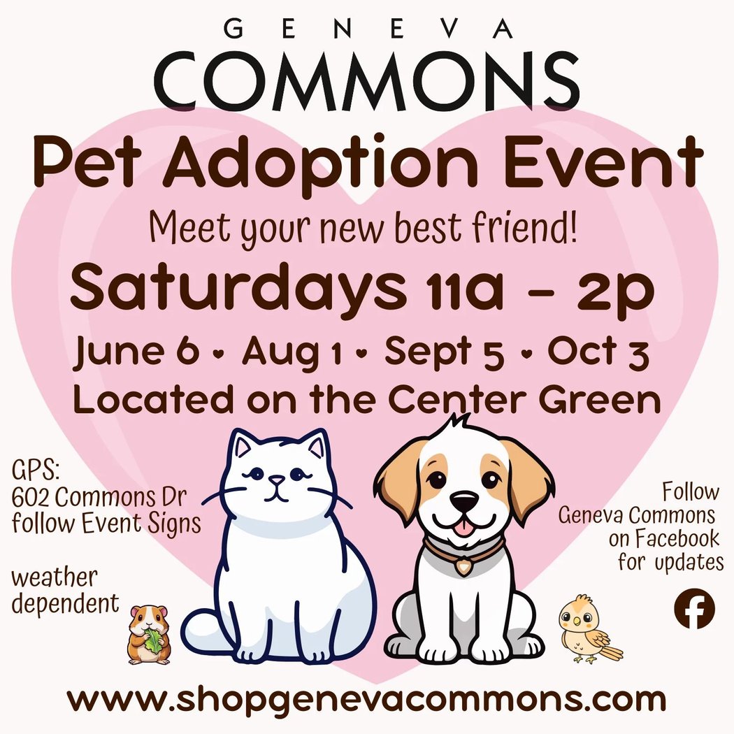 Pet Adoption Event 1