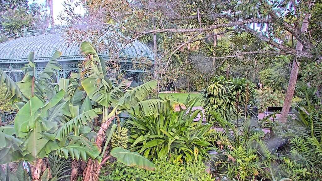 Wonder Gardens 1