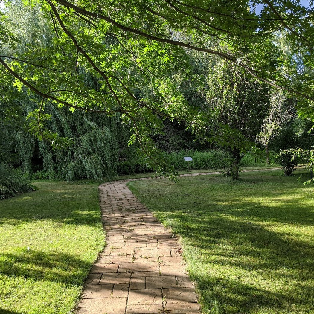 Jardins des lilas 2