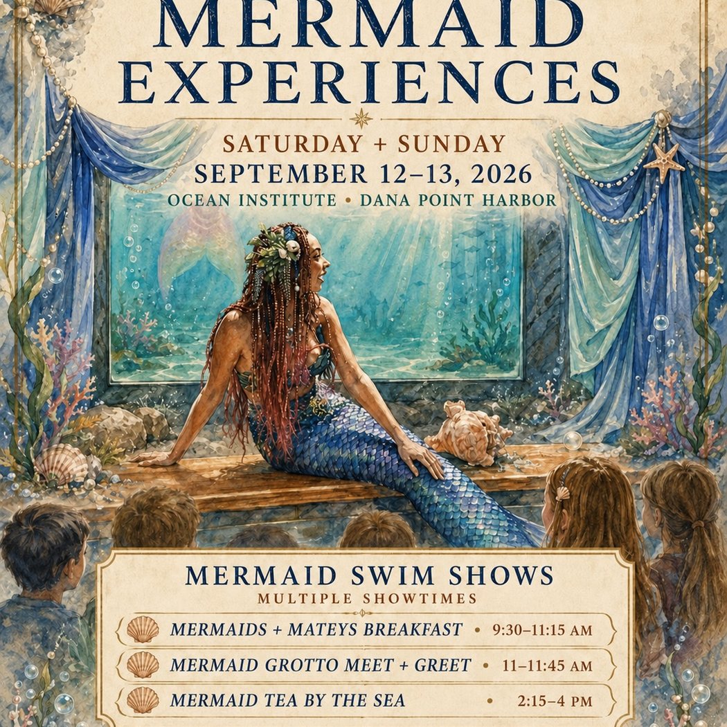 Mermaid Experiences