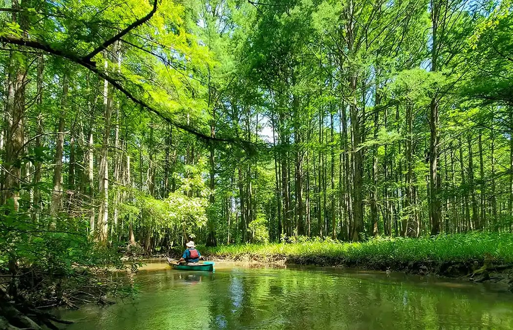 Wolf River Nature Area 1