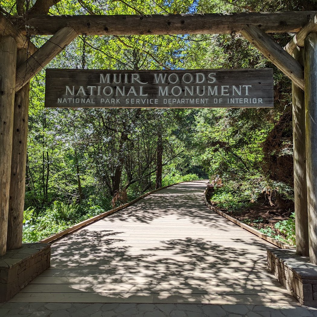 Welcome to the Woods 15-Minute Talk 3