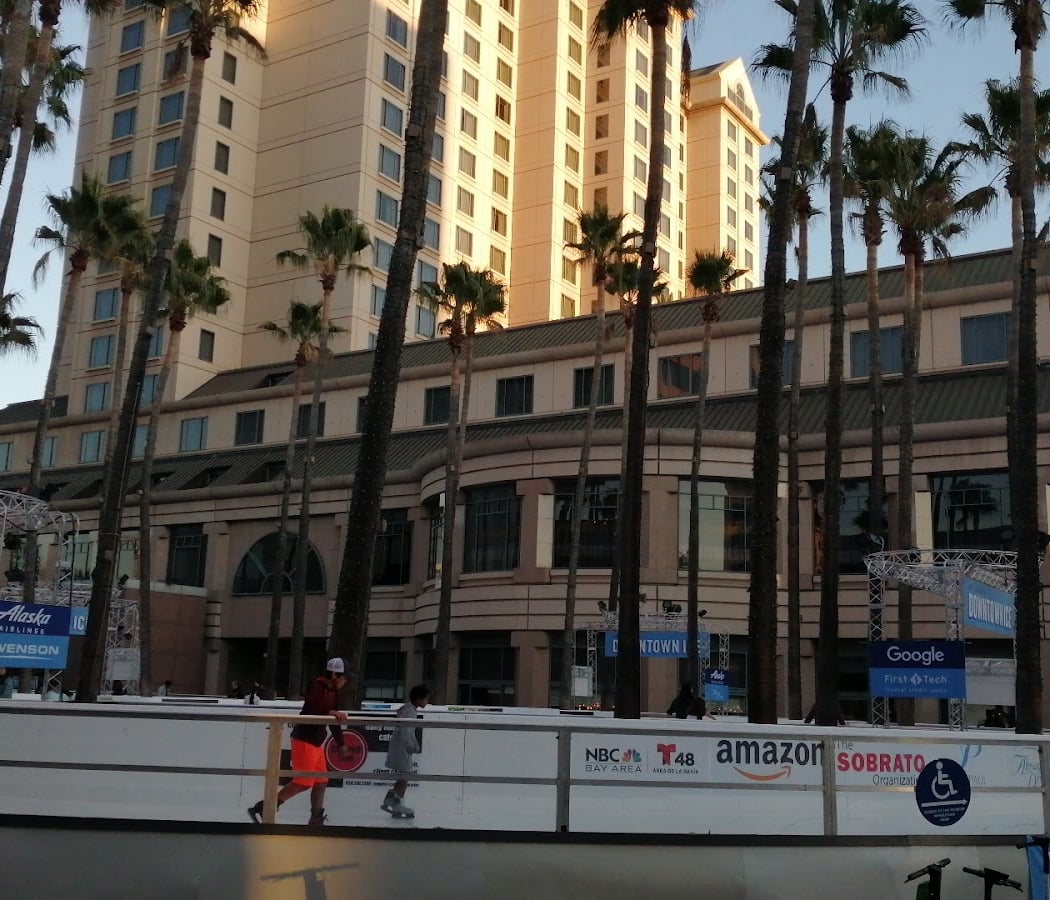 Circle of Palms Plaza 3